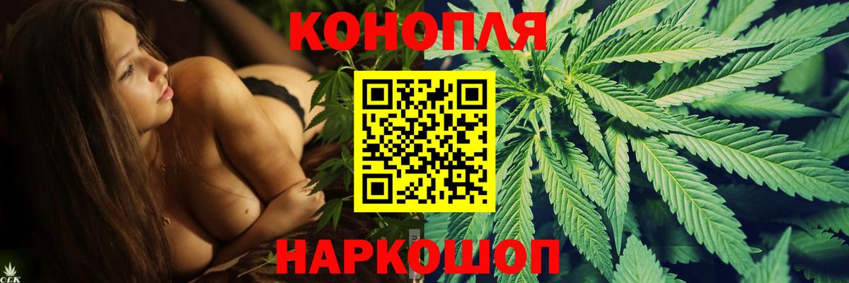 Конопля сатива  Каннабис White Widow  Вход с VPN  Шебекино  МАРИХУАНА конопля 
